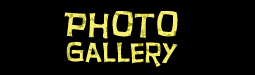 Photo Gallery